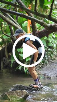 BIB:  <button type="button" onclick="openModal(27505003)" class="btn btn-primary btn-sm float-right" data-toggle="modal" data-target=".modal-high-quality">
                <i class="fa fa-download"></i> Download
                </button>